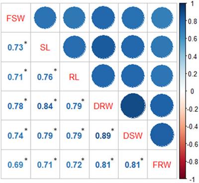 Genome-wide association studies of seedling quantitative trait loci against salt tolerance in wheat